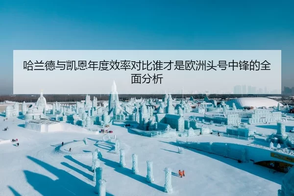 哈兰德与凯恩年度效率对比谁才是欧洲头号中锋的全面分析