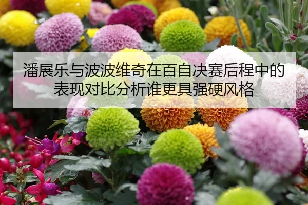 潘展乐与波波维奇在百自决赛后程中的表现对比分析谁更具强硬风格